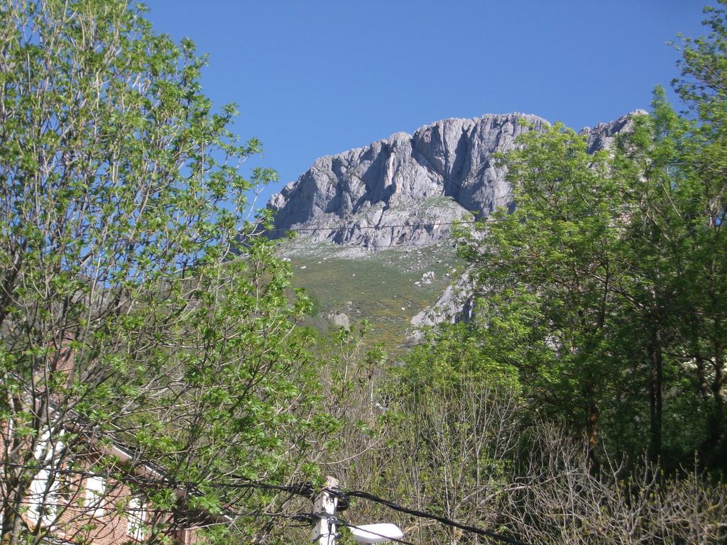 Apartamentos Caloca Pokoj fotografie